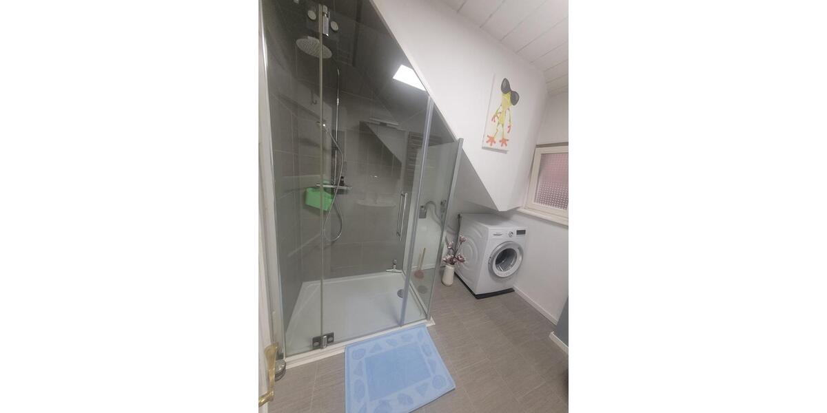 Dachgeschoßwohnung Eltmann - 1.5 Zimmer, 29 m&sup2;, 430&euro; | Angebot:23996901