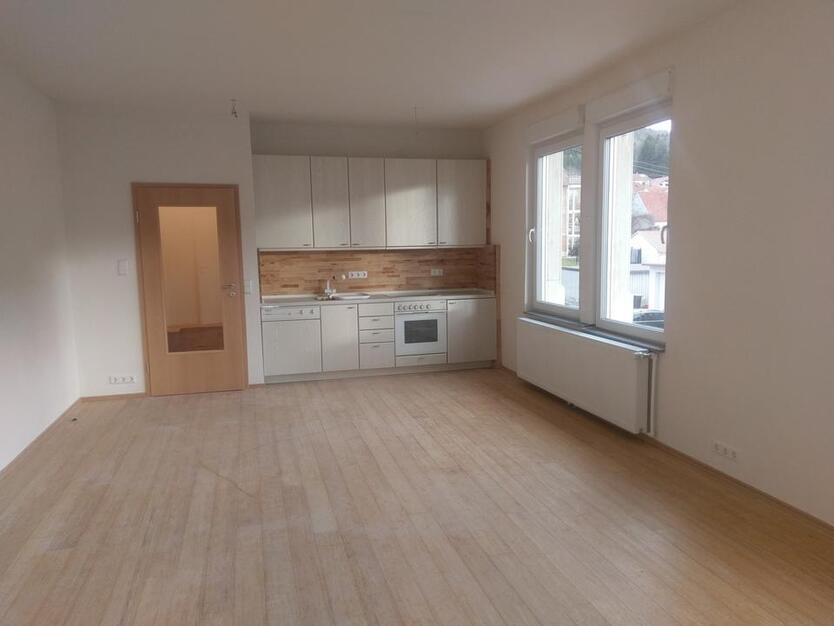 1,5-Zimmer Wohnung, baubiologisch saniert