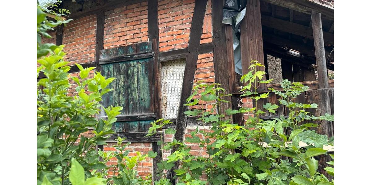 Gewerbeobjekt Edemissen - 5.000&euro; | Angebot:24743321