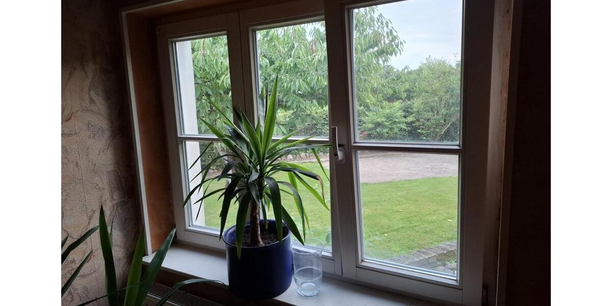 wg-platz für nur eine Person 65 Quadratmeter 3 zimmer