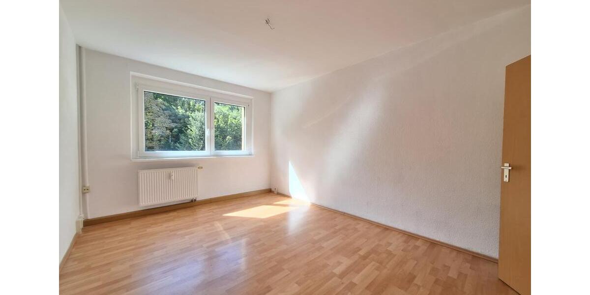Etagenwohnung Colditz - 2 Zimmer, 48 m&sup2;, 224&euro; | Angebot:22443978