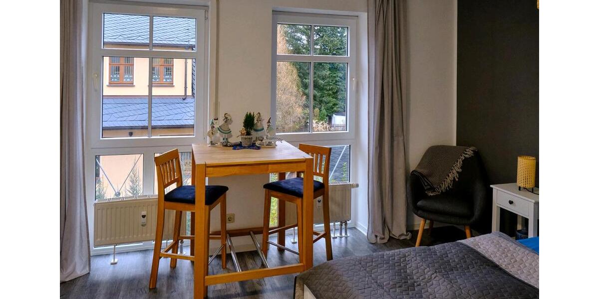 Wohnen auf Zeit Chemnitz Rabenstein - 1 Zimmer, 24 m&sup2;, 700&euro; | Angebot:25401876