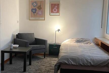 Wohnung Neckarsulm - 1 Zimmer, 99 m&sup2;, 450&euro; | Angebot:25643896