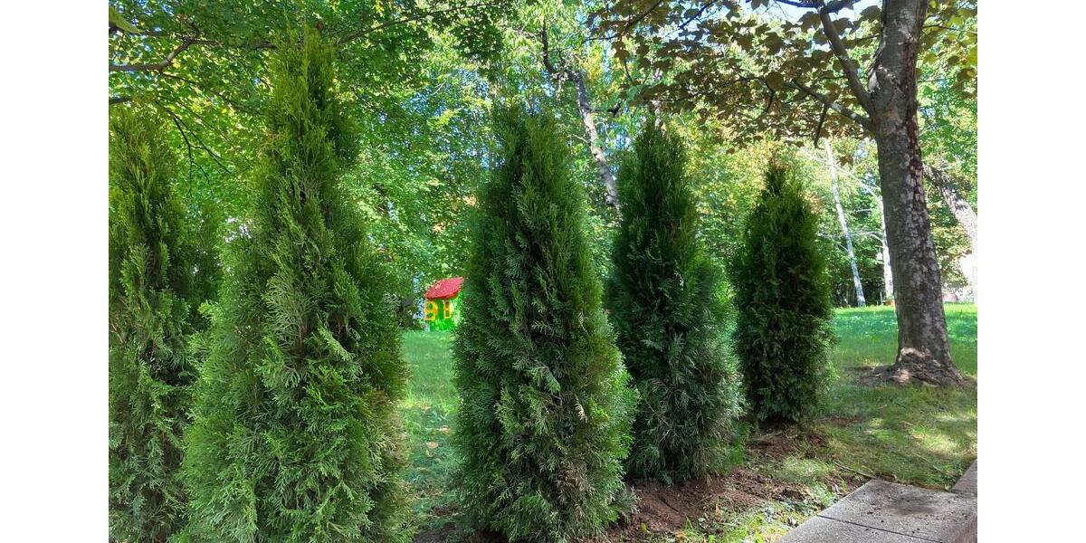 TOP sanierte helle 3-Raum-Wohnung in Apolda zu vermieten 3 zimmer