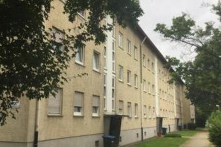 Neu renovierte 2-Zimmer-Wohnung