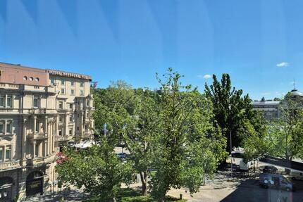 Möbliertes Appartement in Wiesbaden - City 1 zimmer