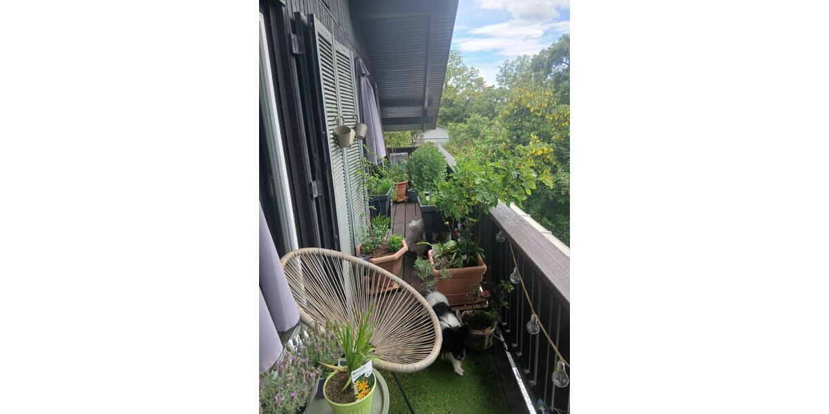 Dachgeschoßwohnung Engen - 3.5 Zimmer, 100 m&sup2;, 1.200&euro; | Angebot:26652378
