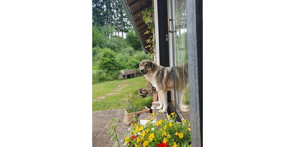 Wohnen auf Zeit Schmelz - 1 Zimmer, 130 m&sup2;, 550&euro; | Angebot:24677355