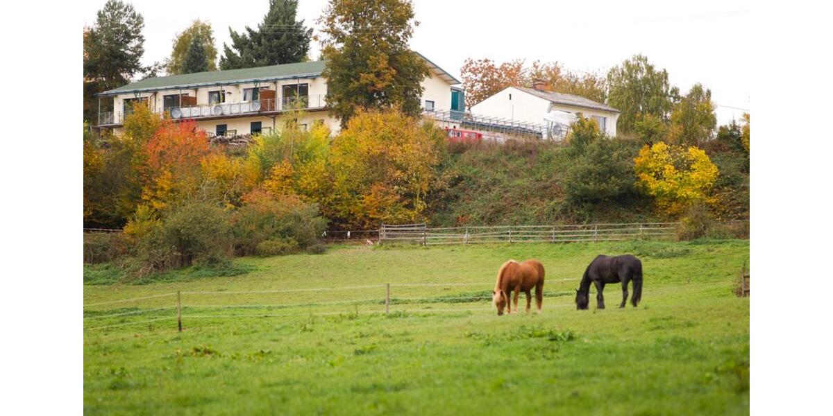 Etagenwohnung Boppard - 3 Zimmer, 90 m&sup2;, 750&euro; | Angebot:25634400