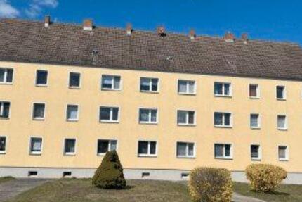 Wohnung Wittenberg Lutherstadt Reinsdorf - 3 Zimmer, 59 m&sup2;, 300&euro; | Angebot:26631491