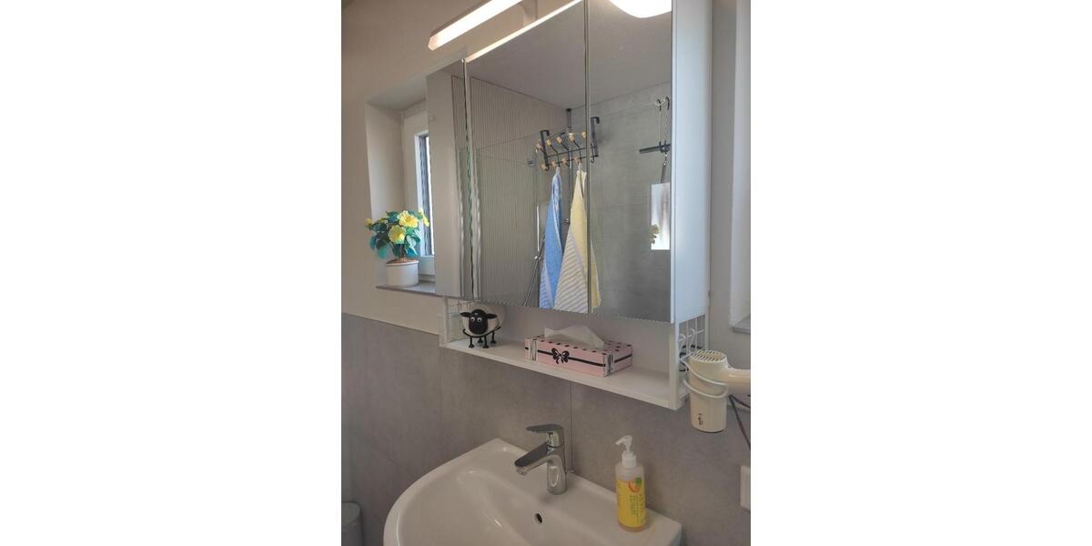 Wohnen auf Zeit Aschaffenburg Österreicher Kolonie - 1 Zimmer, 18 m&sup2;, 650&euro; | Angebot:25640838