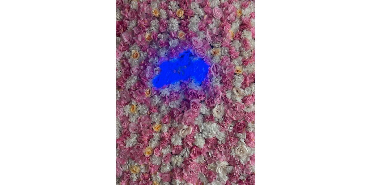 Gewerbeobjekt Güstrow - 1.000&euro; | Angebot:24400176