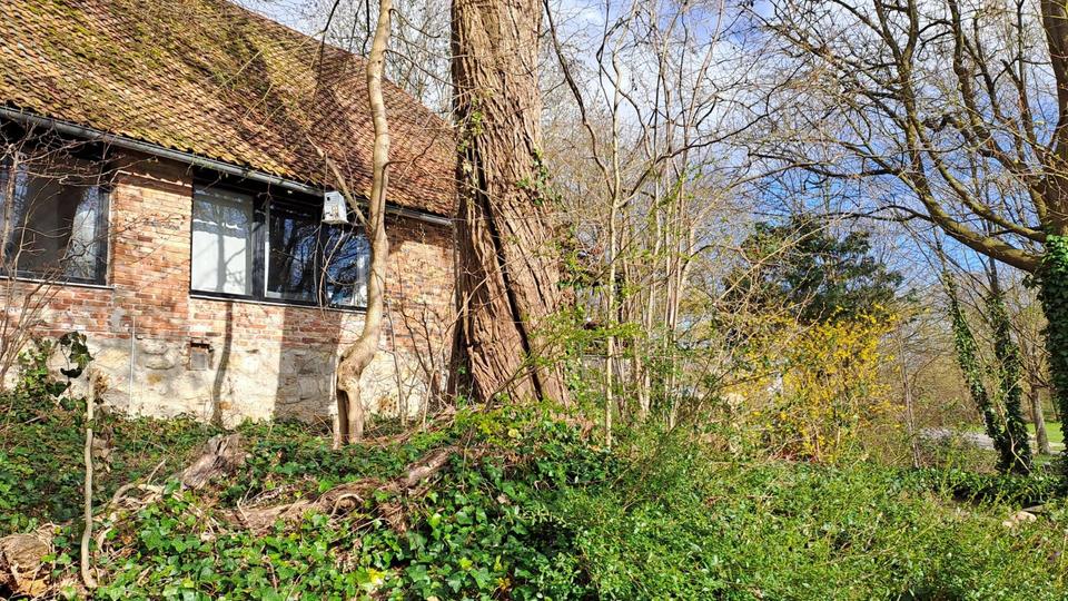 Etagenwohnung Lehre - 4 Zimmer, 115 m&sup2;, 865&euro; | Angebot:26038981