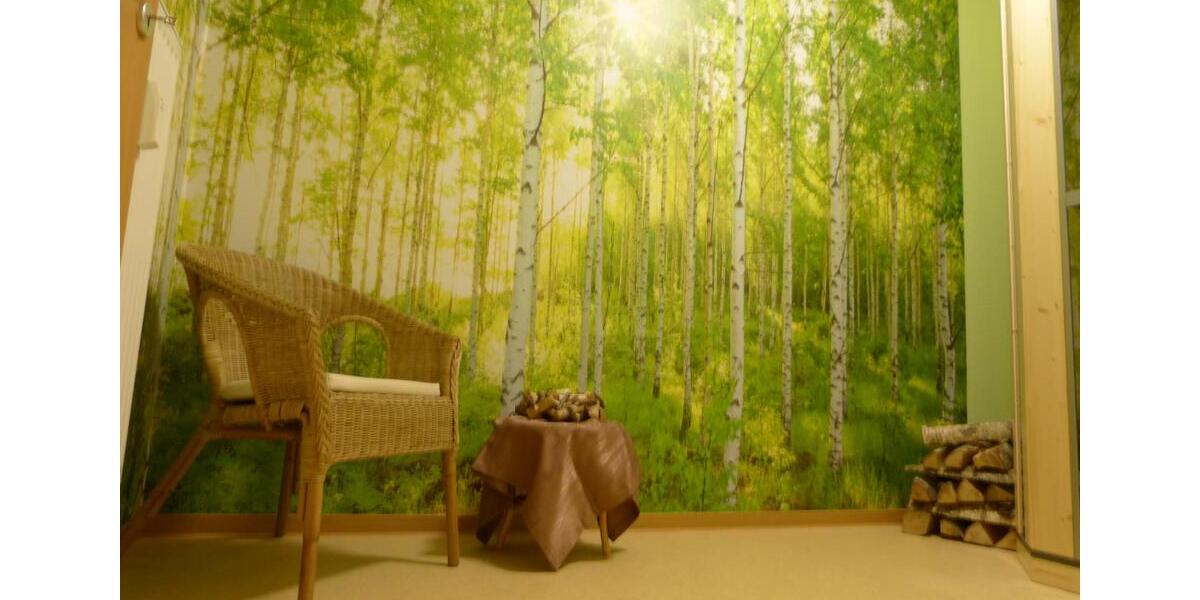 Etagenwohnung Bad Elster - 1 Zimmer, 37 m&sup2;, 395&euro; | Angebot:24418360