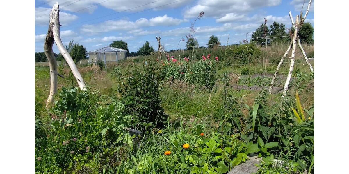 Wohnen auf Zeit Emkendorf - 1 Zimmer, 20 m&sup2;, 350&euro; | Angebot:22686016