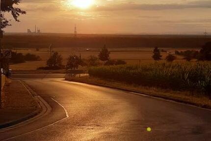 WG Zimmer 21qm in Wohnung Alzenau Wasserlos zu vermieten 5 zimmer