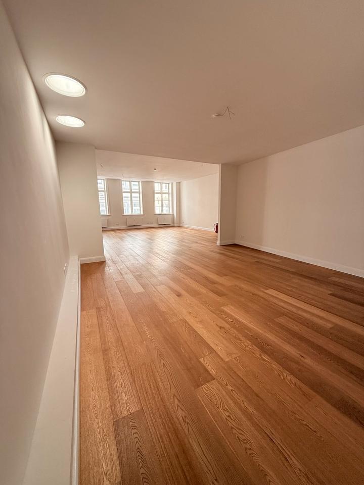 Wunderschöne WohnungBüroStudio mit Loftcharakter HL Innenstadt