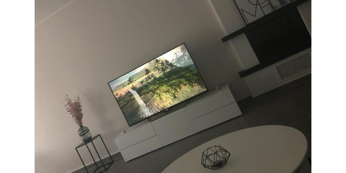 Wohnen auf Zeit Hattersheim am Main - 1 Zimmer, 11 m&sup2;, 780&euro; | Angebot:25723402