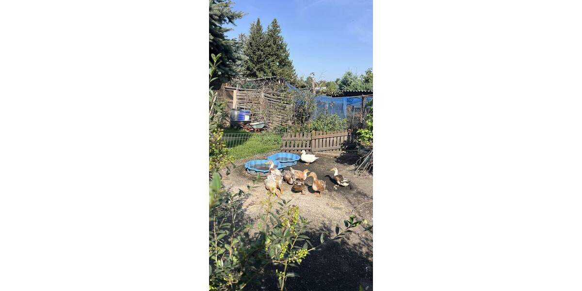 Etagenwohnung BORNA-Neukirchen Neukirchen - 3 Zimmer, 72 m&sup2;, 540&euro; | Angebot:25663640