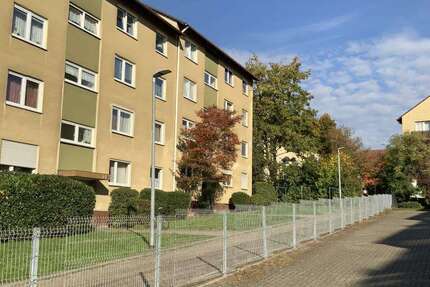 Wohnung Bad Bergzabern - 2 Zimmer, 58 m&sup2;, 499&euro; | Angebot:27184116