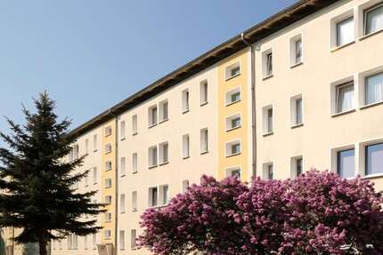 Wohnung zum Mieten in Braunsbedra 393,12 € 60.48 m² 3 zimmer