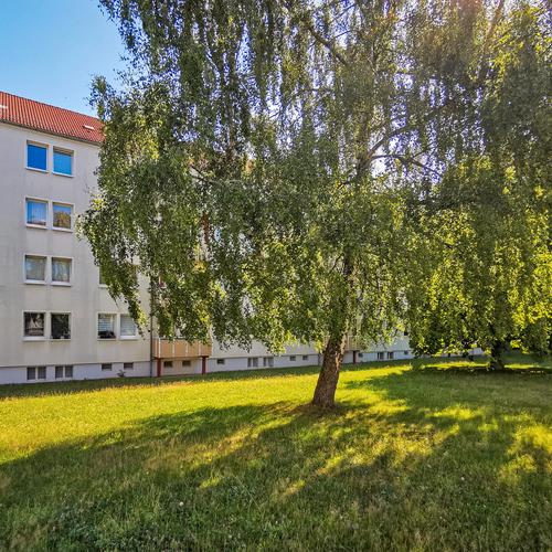 Erdgeschoßwohnung Freiberg - 2 Zimmer, 47 m&sup2;, 291&euro; | Angebot:26003191