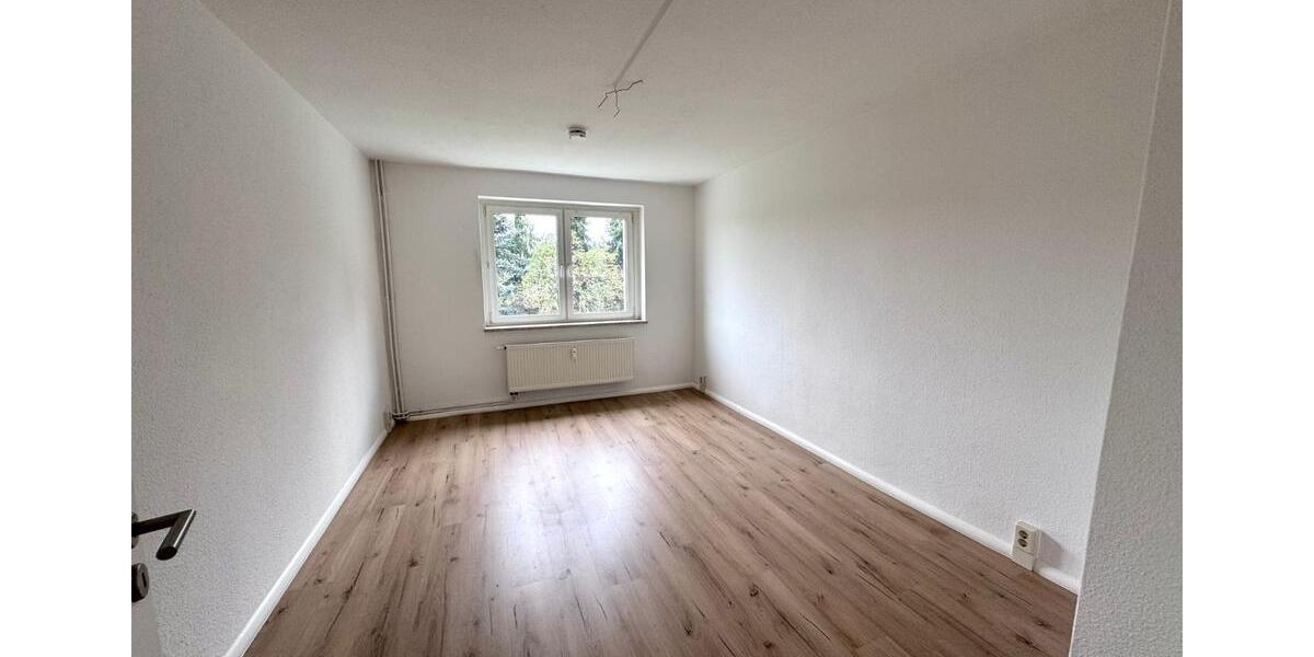 Etagenwohnung Hainichen - 2 Zimmer, 49 m&sup2;, 270&euro; | Angebot:25838338