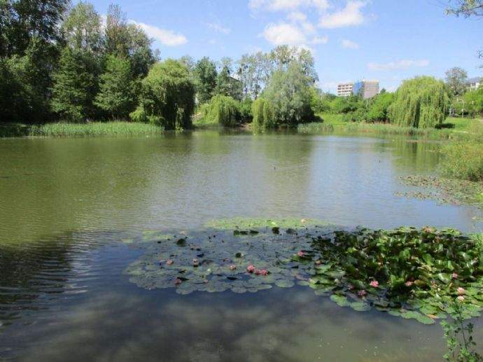 Etagenwohnung Neubrandenburg Oststadt - 2 Zimmer, 46 m&sup2;, 248&euro; | Angebot:24312059