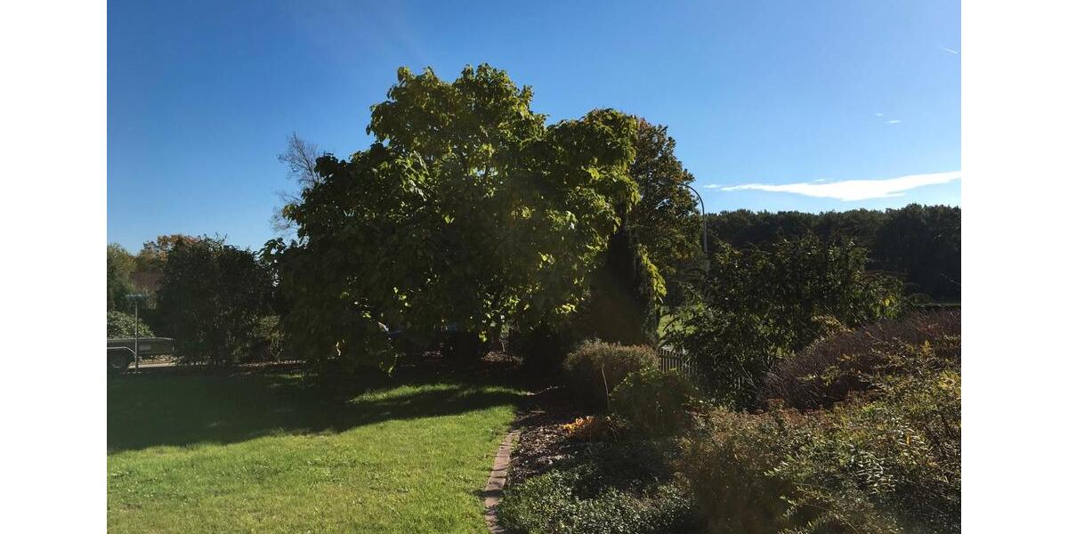 Erdgeschoßwohnung Petershagen - 3 Zimmer, 120 m&sup2;, 660&euro; | Angebot:26048913