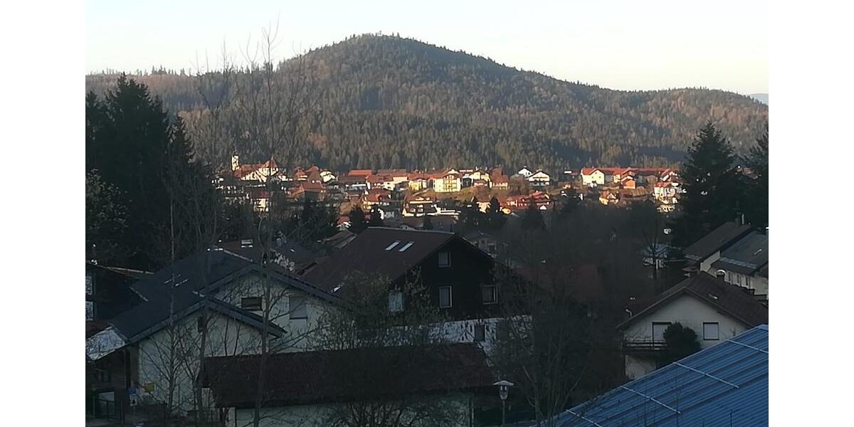 Etagenwohnung Bodenmais - 1 Zimmer, 27 m&sup2;, 370&euro; | Angebot:25802699