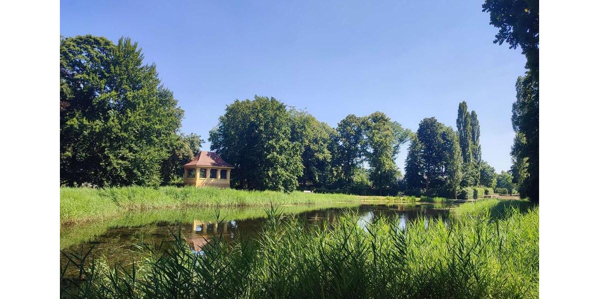 Terrassenwohnung Senftenberg - 2 Zimmer, 77 m&sup2;, 920&euro; | Angebot:24258259