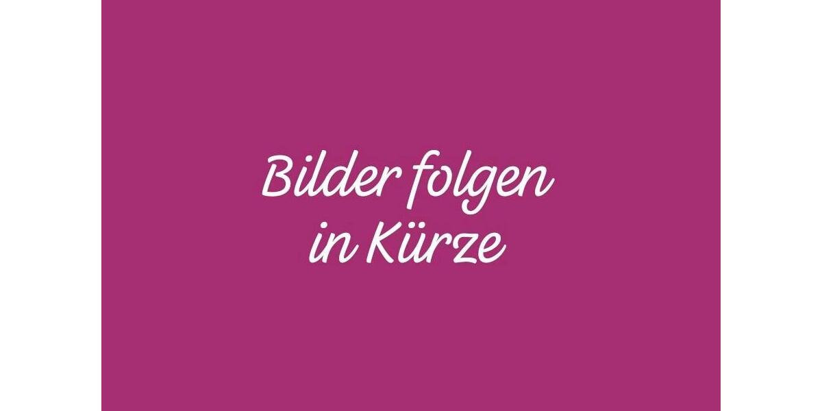 Erdgeschoßwohnung Karlstein am Main - 2 Zimmer, 60 m&sup2;, 750&euro; | Angebot:25957665