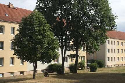 Wohnung Schwedt/Oder OT Passow Passow - 3 Zimmer, 58 m&sup2;, 365&euro; | Angebot:24356606