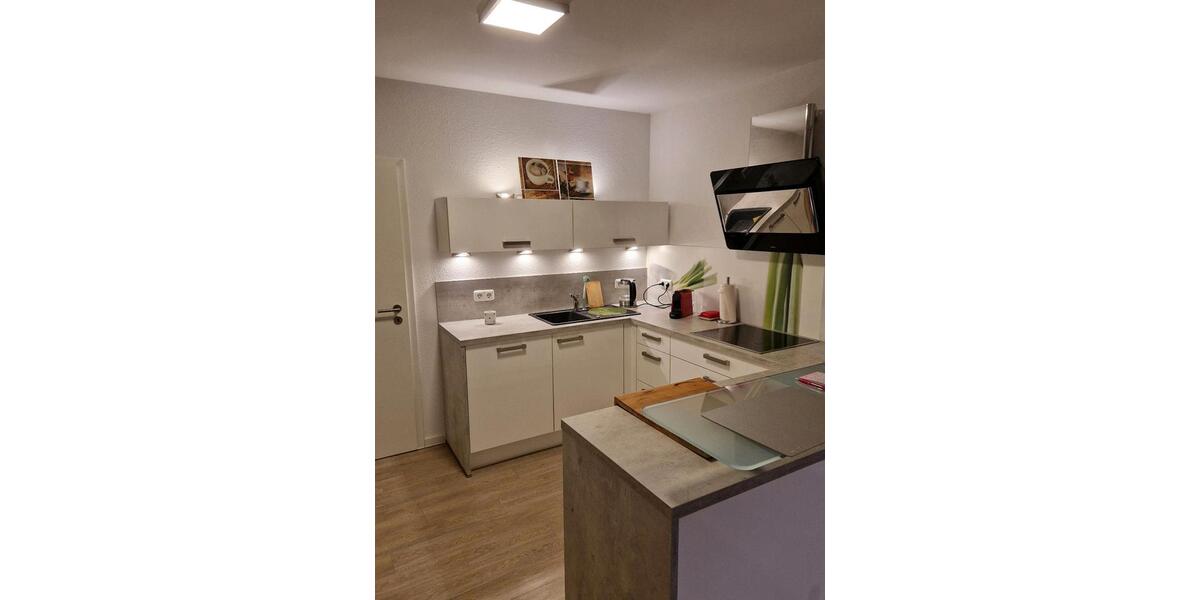 Wohnen auf Zeit Wiesbaden Biebrich - 1 Zimmer, 100 m&sup2;, 700&euro; | Angebot:25333238