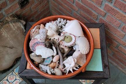 WG Zimmer in 2er Frauen WG frei 3 zimmer