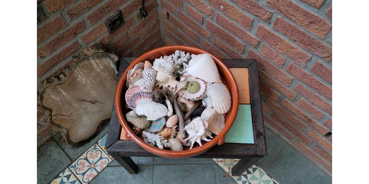 WG Zimmer in 2er Frauen WG frei 3 zimmer