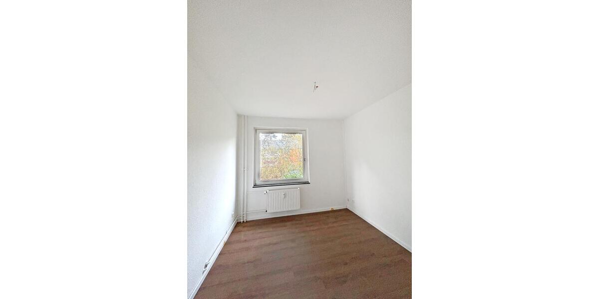 Erdgeschoßwohnung Munster - 3 Zimmer, 62 m&sup2;, 585&euro; | Angebot:23299660