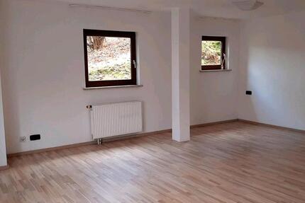 Wohnung Altensteig - 1 Zimmer, 46 m&sup2;, 400&euro; | Angebot:25332636