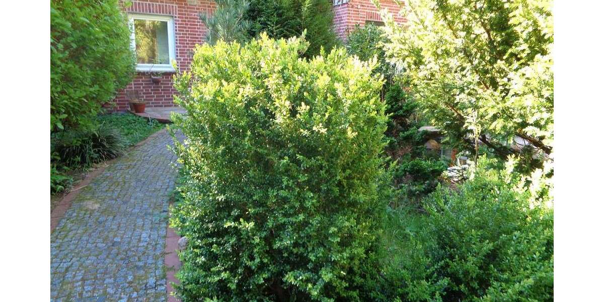 Etagenwohnung Schneverdingen - 2 Zimmer, 68 m&sup2;, 790&euro; | Angebot:26788701