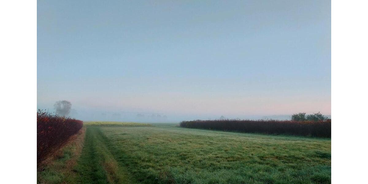 Maisonettenwohnung Kolkwitz - 3 Zimmer, 50 m&sup2;, 995&euro; | Angebot:25292704